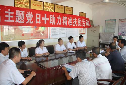 銅煤公司開(kāi)展“主題黨日+助力精準(zhǔn)扶貧”活動(dòng)