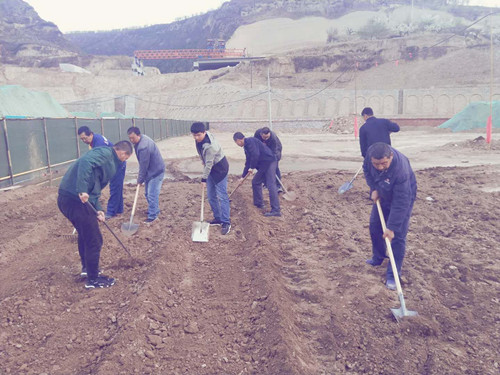 陜煤建設(shè)天工公司土建三部不負(fù)時光“務(wù)農(nóng)” 豐富員工餐桌