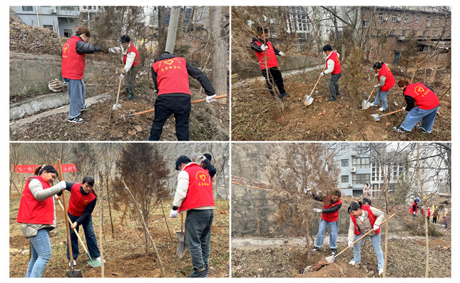 陜煤建設(shè)機電安裝公司：走，上春山，植樹去！