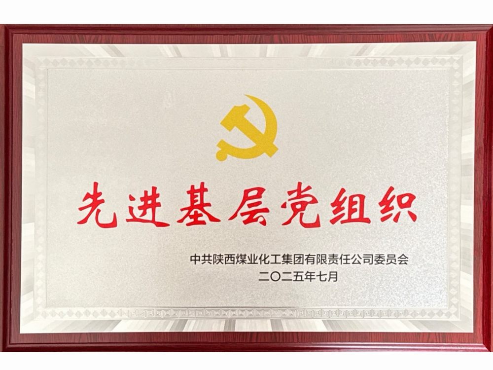 黨建領航結(jié)碩果 實干擔當譜新篇