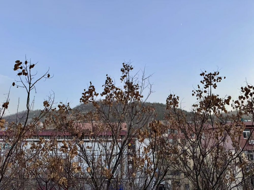 秋意漸濃時，回望來時路